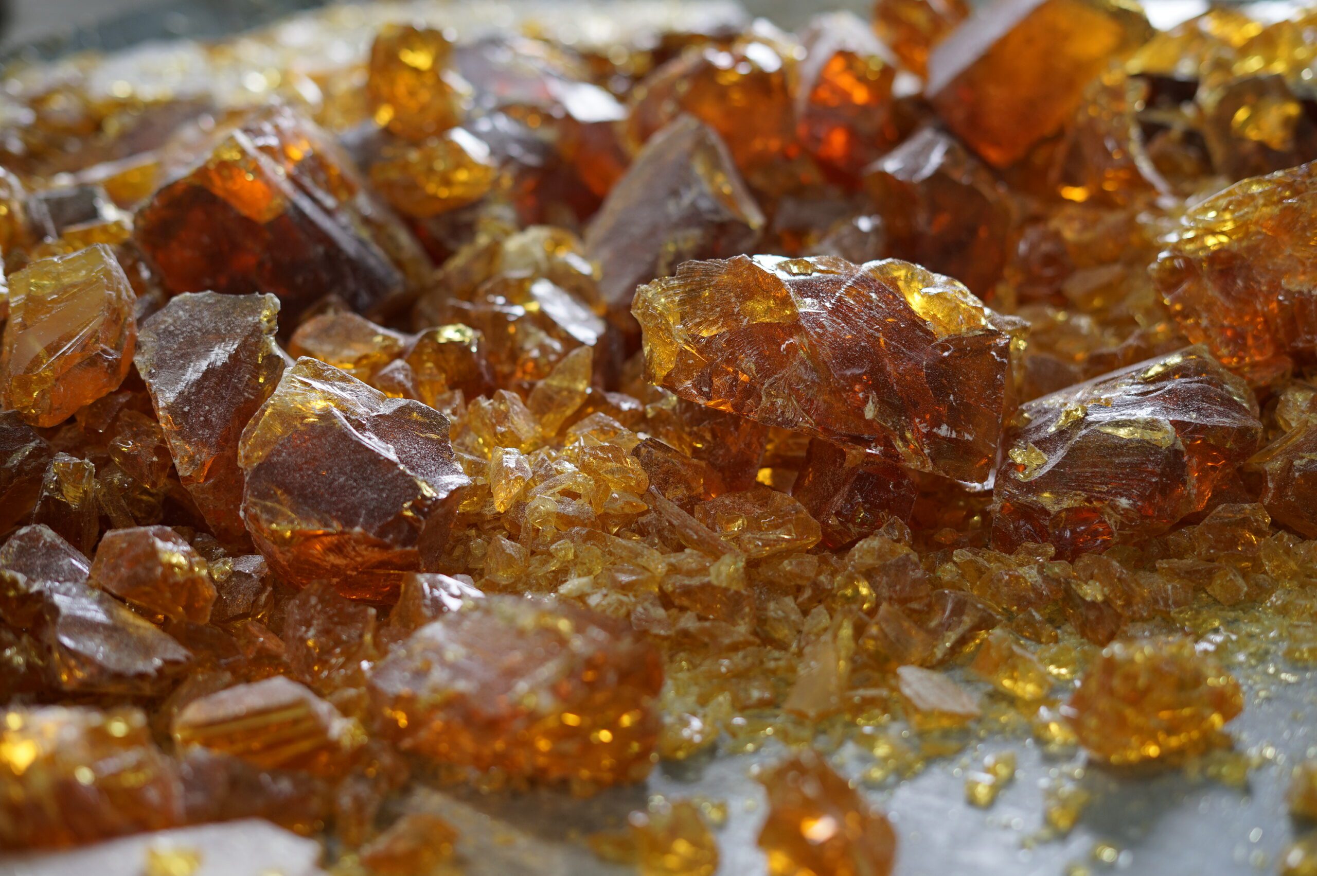 Production & forestry 1